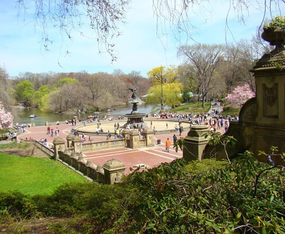 angol kurzus, Central Park, New York