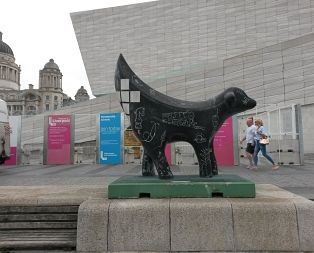 atrakcie počas jazykového pobytu v Liverpoole, Veľká Británia Banana Lamb, známa atrakcia v Liverpoole, Veľká Británia