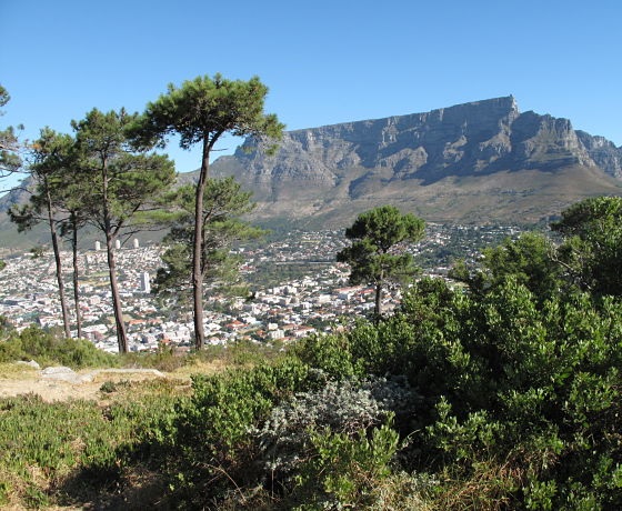 Table Mountain